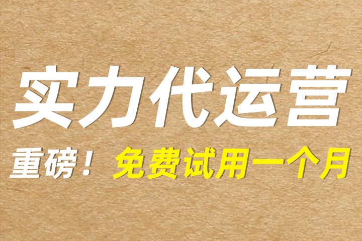 京东淘宝代运营是什么意思