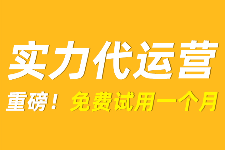 提点淘宝代运营个人