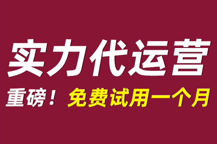 最大的淘宝代运营