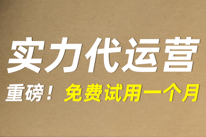 淘宝有多少家代运营商