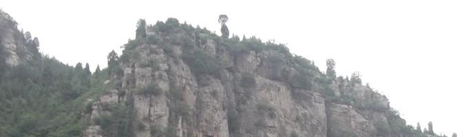 淘宝代运营操作