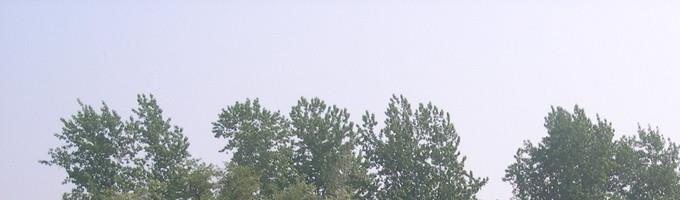 武汉淘宝代运营公司哪家好