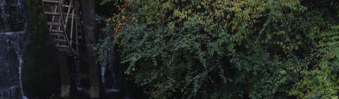保定淘宝代运营公司