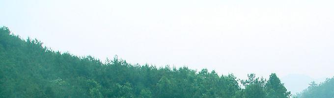 淘宝代运营哪家可靠