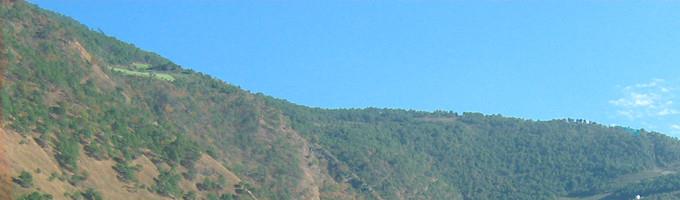 淘宝代运营  只收提点